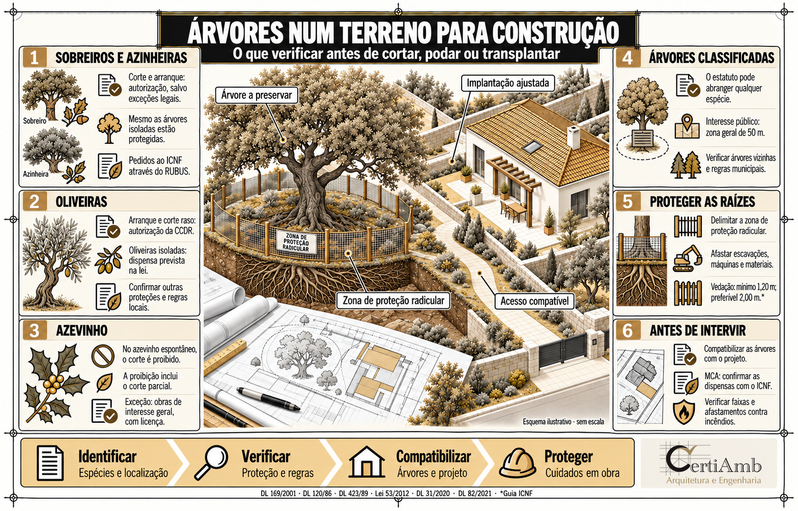 Infografia sobre árvores num terreno: sobreiro, azinheira, oliveira, azevinho, árvores classificadas e proteção das raízes.